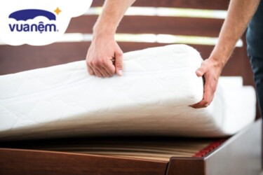 nệm bông ép tatana và bông ép kim cương