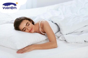 nệm bông ép vạn thành và bông ép kim cương