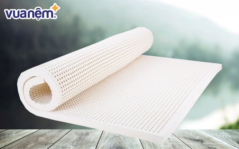 Nệm cao su là một trong những dòng sản phẩm nổi bật của hãng
