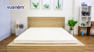 Nệm Vạn Thành 10cm giá bao nhiêu? Bảng giá chính xác nhất