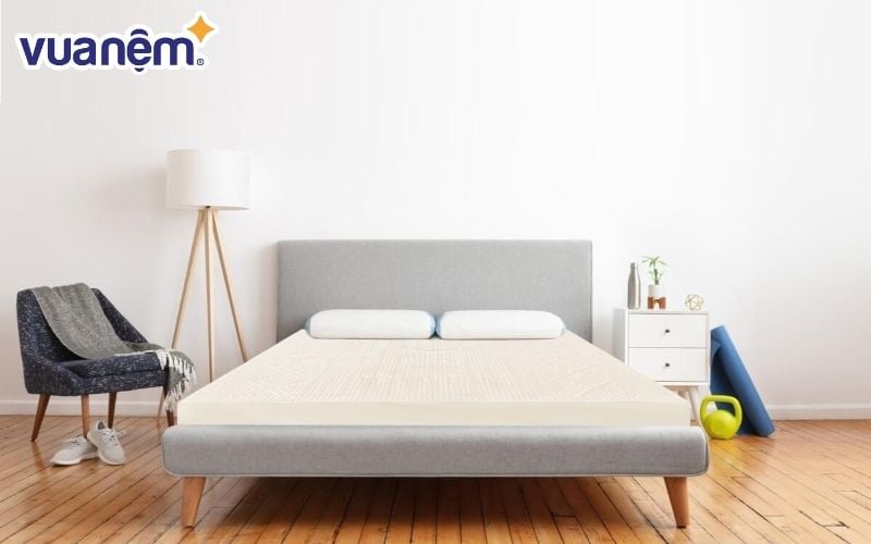 Nệm cao su Vạn Thành 10cm luôn là sự lựa chọn số 1