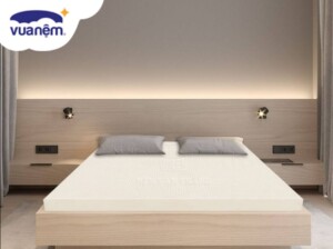 Nệm cao su Vạn Thành 1m6x2m giá bao nhiêu?