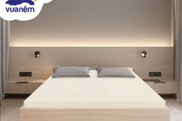 nệm cao su vạn thành 1m6x2m