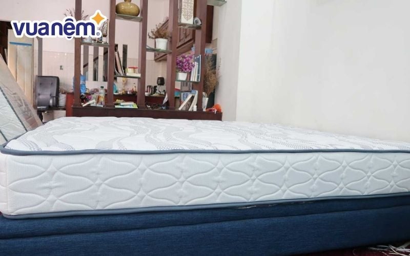 Nệm Liên Á Cassaro Firm
