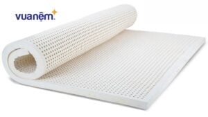 Nệm Vạn Thành 15cm có những loại nào? Giá bao nhiêu?