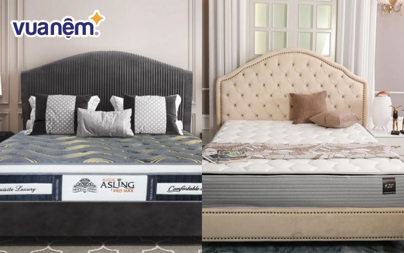 Kingkoil hay Kim Cương đều có những điểm nổi trội riêng