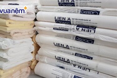 so sánh nệm Liên Á và Kim Cương