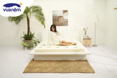 cao su thuần việt và cao su gummi