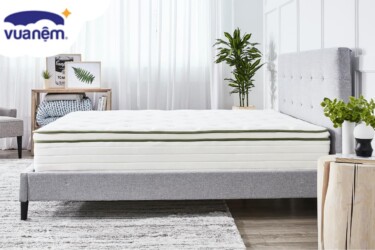 cao su thuần việt và cao su tatana