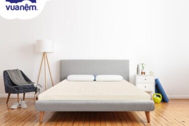 cao su vạn thành và cao su đồng phú