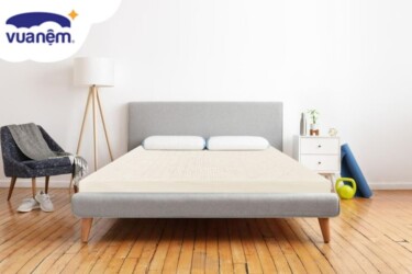 cao su vạn thành và cao su dunlopillo