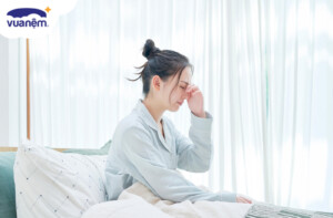 So sánh từ A – Z nệm lò xo Kim Cương và lò xo Edena