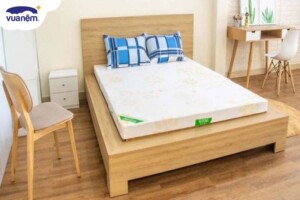 So sánh chi tiết nệm bông ép Everon và bông ép Tatana, nên chọn mua loại nệm nào? 