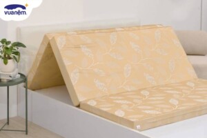 So sánh nệm bông ép Sông Hồng và bông ép Vina Mattress