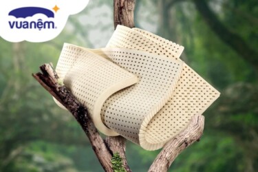 nệm cao su đồng phú và cao su dunlopillo