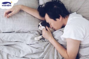 Phương pháp ngủ ngắn Dymaxion là gì? Có nên thực hiện không?