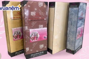 so sánh đệm Sông Hồng và Hanvico