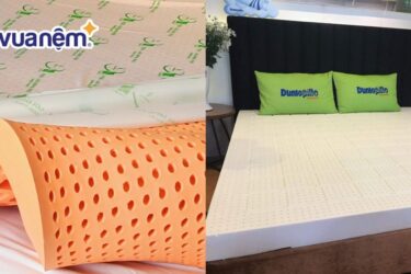so sánh nệm Đồng Phú và nệm Dunlopillo