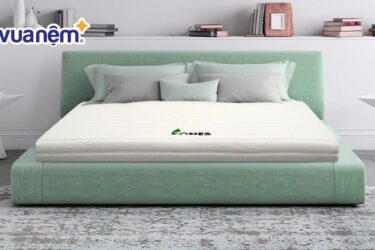 So sánh nệm Đồng Phú và nệm Gummi