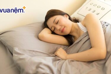 So sánh nệm Đồng Phú và nệm Sông Hồng chi tiết nhất