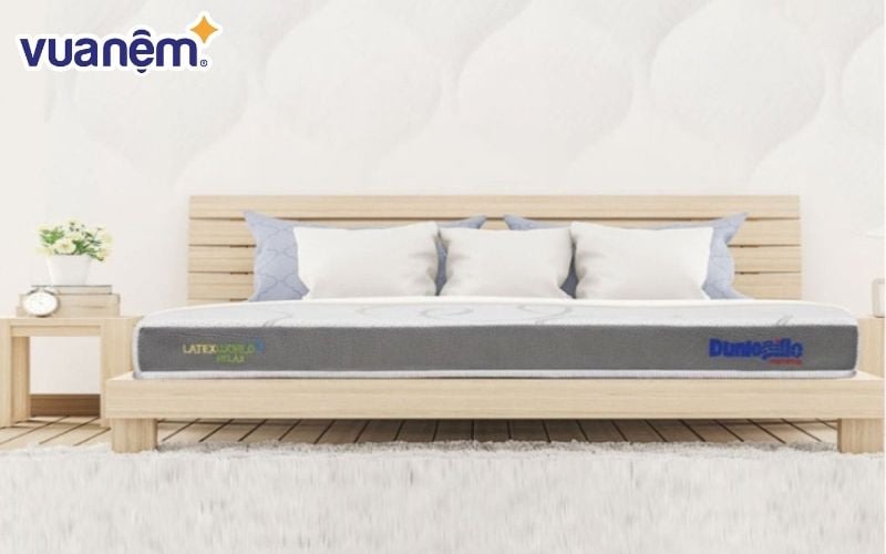 So sánh nệm Dunlopillo và nệm Thắng Lợi - Nệm Dunlopillo, thương hiệu nệm chất lượng được đánh giá cao
