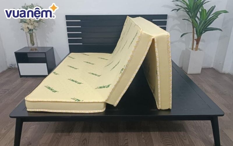 So sánh nệm Dunlopillo và nệm Thắng Lợi - Nên mua loại nào?
