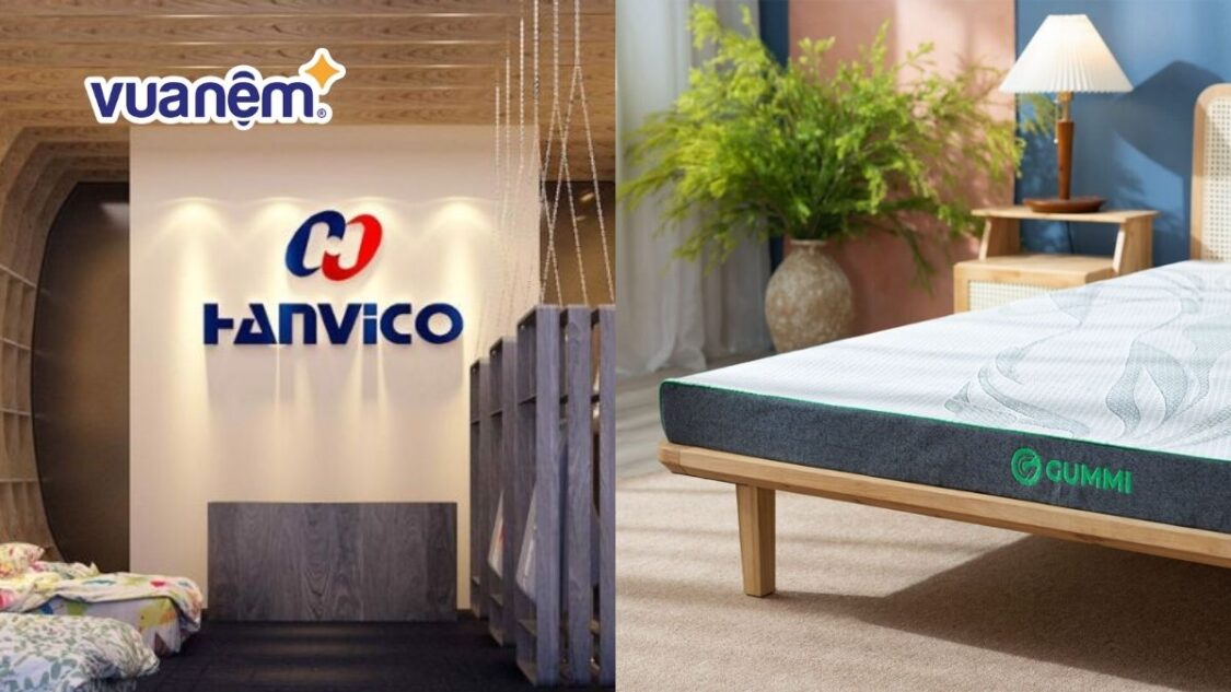 so sánh nệm Hanvico và nệm Gummi