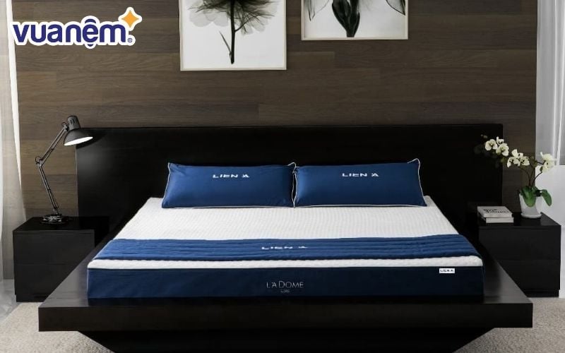 Nệm Liên Á là một trong những thương hiệu nệm lâu đời và nổi tiếng tại Việt Nam