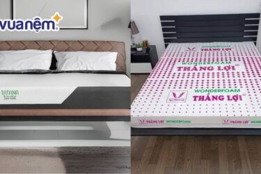 so sánh nệm Tatana và nệm Thắng Lợi