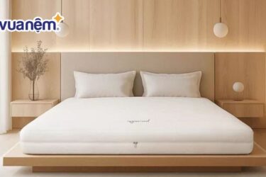 So sánh nệm Thắng Lợi và nệm Gummi - Nên mua nệm loại nào?