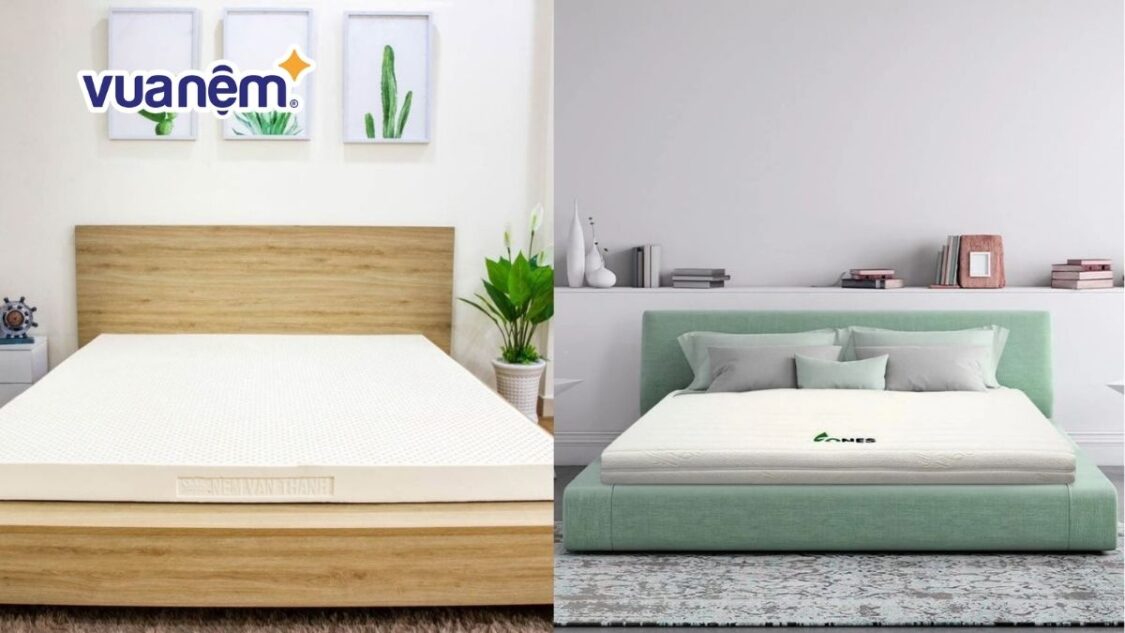 So sánh nệm Vạn Thành và nệm Gummi