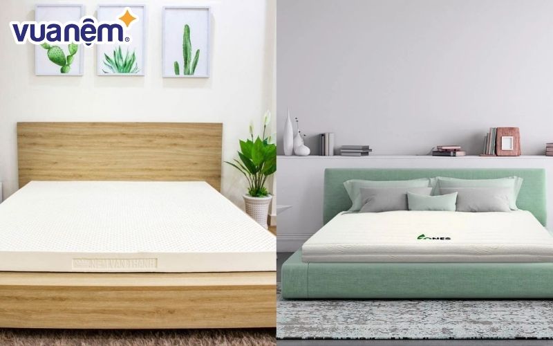 So sánh nệm Vạn Thành và nệm Gummi nệm nào tốt hơn