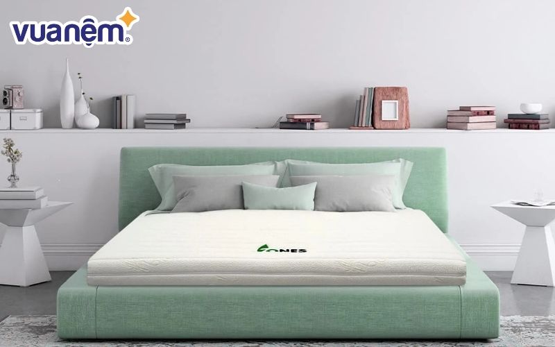 Mua nệm Gummi chính hãng tại Vua Nệm