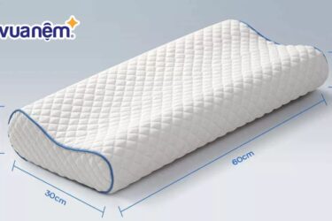 gối công thái học là gì