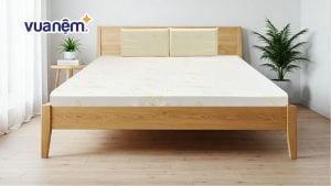 Nệm Vạn Thành 1m8x2m giá bao nhiêu? Cập nhật bảng giá 2025