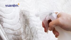 Cách xử lý nệm lò xo bị mốc cực đơn giản và hiệu quả