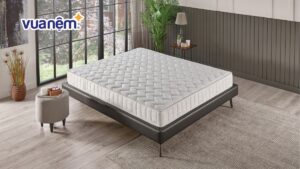 Top 10 mẫu nệm lò xo nhập khẩu nổi bật bạn nên sử dụng