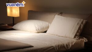 So sánh đệm Everon và Hanvico: Nên mua đệm bông ép hãng nào?