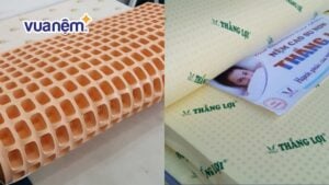 So sánh nệm Đồng Phú và nệm Thắng Lợi chi tiết nhất