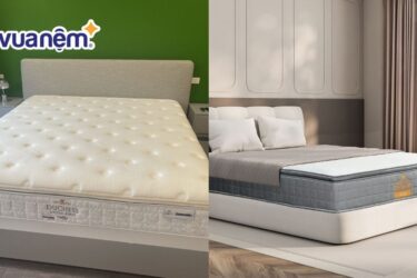 so sánh nệm dunlopillo và nệm edena