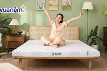 So sánh nệm Dunlopillo và nệm Gummi chi tiết nhất