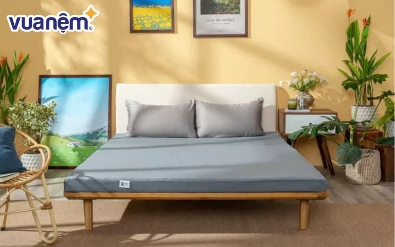 Nệm foam Edena và nệm foam Goodnight có những tính năng nổi bật riêng