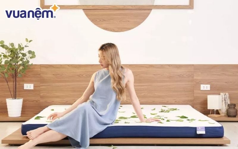 So sánh nệm Edena và nệm Goodnight - Nên chọn loại nào?