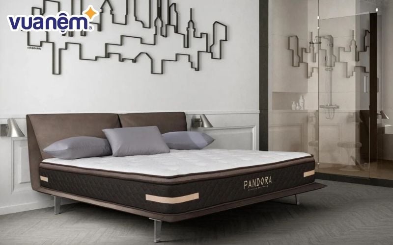 So sánh nệm Edena và nệm Hanvico phân khúc nệm lò xo