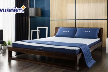So sánh nệm Edena và nệm Liên Á - Nên mua nệm loại nào?