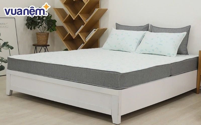 Mua nệm Edena và Sông Hồng tại các địa chỉ uy tín