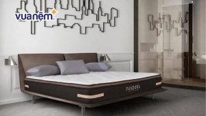 So sánh nệm Hanvico và nệm Amando – Nên mua nệm loại nào? 