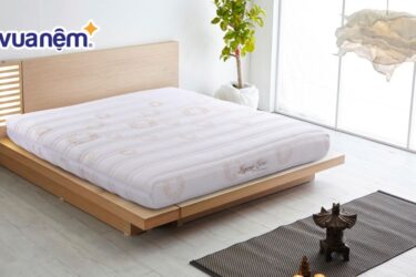 So sánh nệm Hanvico và nệm Thắng Lợi