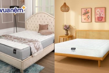 so sánh nệm kingkoil và nệm edena