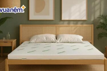 So sánh nệm Tatana và nệm Gummi - Chọn nệm nào phù hợp?
